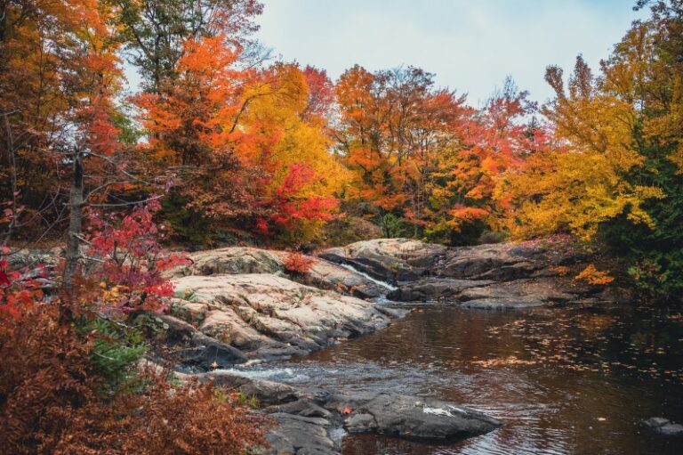 Four Places To Enjoy Fall Colours In Sault Ste Marie That You May Not Have Heard Of 6525