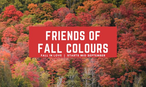 Friends of Fall Colours