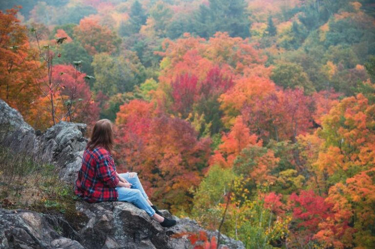 Four Places To Enjoy Fall Colours In Sault Ste Marie That You May Not Have Heard Of 7889