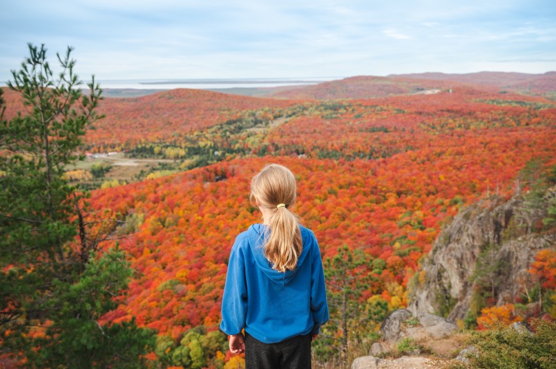 Robertson Cliffs